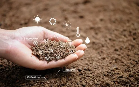 soil composition Image